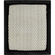 Purchase Top-Quality DENSO - 143-3309 - Air Filter pa6