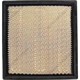 Purchase Top-Quality DENSO - 143-3410 - Air Filter pa8