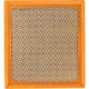 Purchase Top-Quality DENSO - 143-3479 - Air Filter pa5