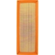 Purchase Top-Quality DENSO - 143-3647 - Engine Air Filter pa5