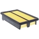 Purchase Top-Quality DENSO - 143-3666 - Rectangular Filtre � air pa1