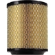 Purchase Top-Quality DENSO - 143-3737 - Air Filter pa3