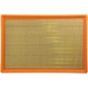 Purchase Top-Quality DENSO - 143-3820 - Air Filter pa4