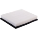 Purchase Top-Quality Air Filter by ECOGARD - XA10016 pa2