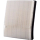 Purchase Top-Quality Air Filter by ECOGARD - XA10016 pa3