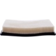 Purchase Top-Quality Air Filter by ECOGARD - XA10016 pa4