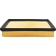 Purchase Top-Quality Air Filter by ECOGARD - XA10190 pa5