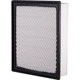 Purchase Top-Quality Air Filter by ECOGARD - XA10242 pa5