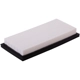 Purchase Top-Quality ECOGARD - XA10388 - Air Filter pa4
