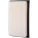 Purchase Top-Quality ECOGARD - XA10637 - Air Filter pa1