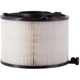 Purchase Top-Quality ECOGARD - XA10638 - Air Filter pa3