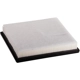 Purchase Top-Quality ECOGARD - XA10650 - Air Filter pa2