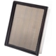 Purchase Top-Quality ECOGARD - XA10650 - Air Filter pa4