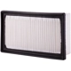 Purchase Top-Quality ECOGARD - XA11571 - Air Filter pa4