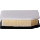 Purchase Top-Quality Air Filter by ECOGARD - XA11903 pa3