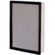 Purchase Top-Quality ECOGARD - XA11971 - Air Filter pa4