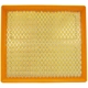 Purchase Top-Quality ECOGARD - XA11978 - Air Filter pa4