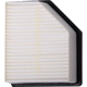 Purchase Top-Quality ECOGARD - XA12002 - Air Filter pa1