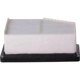 Purchase Top-Quality ECOGARD - XA12002 - Air Filter pa4