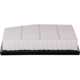 Purchase Top-Quality ECOGARD - XA12030 - Air Filter pa4