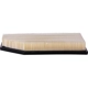 Purchase Top-Quality ECOGARD - XA12030 - Air Filter pa5