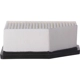 Purchase Top-Quality Air Filter by ECOGARD - XA12123 pa5