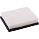 Purchase Top-Quality Air Filter by ECOGARD - XA3590 pa3