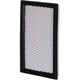 Purchase Top-Quality ECOGARD - XA4278 - Air Filter pa3