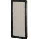 Purchase Top-Quality ECOGARD - XA4372 - Air Filter pa3