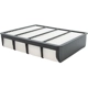 Purchase Top-Quality Air Filter by ECOGARD - XA4886 pa2