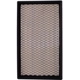 Purchase Top-Quality ECOGARD - XA5043 - Air Filter pa3