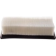 Purchase Top-Quality Air Filter by ECOGARD - XA5105 pa2