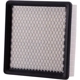 Purchase Top-Quality ECOGARD - XA5150 - Air Filter pa4