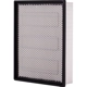 Purchase Top-Quality Air Filter by ECOGARD - XA5314 pa5