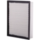 Purchase Top-Quality ECOGARD - XA5315 - Air Filter pa3