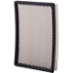 Purchase Top-Quality ECOGARD - XA5330 - Air Filter pa3