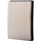 Purchase Top-Quality ECOGARD - XA5330 - Air Filter pa5