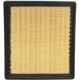 Purchase Top-Quality ECOGARD - XA5396 - Air Filter pa5