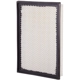 Purchase Top-Quality ECOGARD - XA5414 - Air Filter pa2