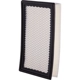 Purchase Top-Quality Air Filter by ECOGARD - XA5418 pa5