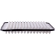 Purchase Top-Quality Air Filter by ECOGARD - XA5431 pa2