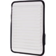 Purchase Top-Quality Air Filter by ECOGARD - XA5431 pa3