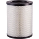 Purchase Top-Quality Air Filter by ECOGARD - XA5433 pa5