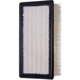 Purchase Top-Quality ECOGARD - XA5446 - Air Filter pa5