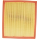 Purchase Top-Quality ECOGARD - XA5539 - Air Filter pa3