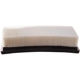 Purchase Top-Quality ECOGARD - XA5553A - Air Filter pa3