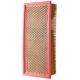 Purchase Top-Quality ECOGARD - XA5569 - Air Filter pa1