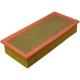 Purchase Top-Quality ECOGARD - XA5569 - Air Filter pa5