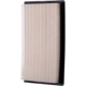 Purchase Top-Quality Air Filter by ECOGARD - XA5594 pa5