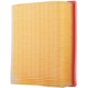 Purchase Top-Quality ECOGARD - XA5601 - Air Filter pa1